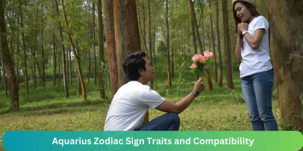 Aquarius Zodiac Sign Traits and Compatibility